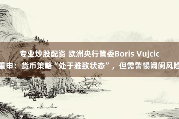 专业炒股配资 欧洲央行管委Boris Vujcic重申：货币策略“处于雅致状态”，但需警惕阛阓风险