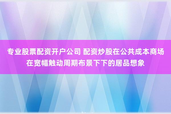 专业股票配资开户公司 配资炒股在公共成本商场在宽幅触动周期布景下下的居品想象