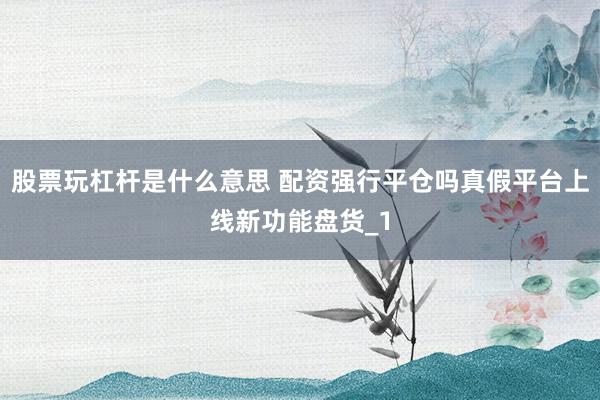 股票玩杠杆是什么意思 配资强行平仓吗真假平台上线新功能盘货_1
