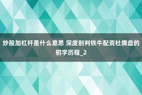 炒股加杠杆是什么意思 深度剖判铁牛配资杜撰盘的初学历程_2